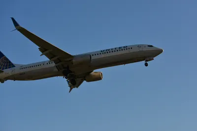 DSC_5669 (Large).JPG